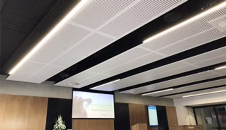 Suspended Acoustic Ceiling